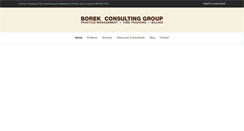 Desktop Screenshot of borekconsulting.com