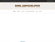 Tablet Screenshot of borekconsulting.com